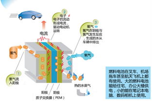 燃料电池：揭秘绿色能源的未来动力之源