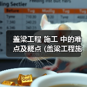 盖梁工程 施工 中的难点及疑点 (盖梁工程施工工艺流程) 盖梁工程 施工 中的难点及疑点 (盖梁工程施工工艺流程)