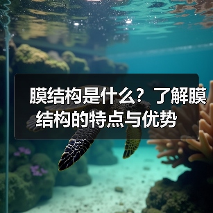 膜结构是什么?了解膜结构的特点与优势(图3) 膜结构是什么?了解膜结构的特点与优势(图3)