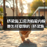 桥梁施工现浇箱梁内模是怎样撤除的 (桥梁施工现浇板桥的材料准备)（图1）