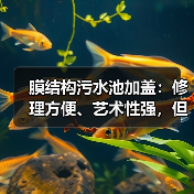 膜结构污水池加盖：修理方便、艺术性强，但工程人员涣散困难（图4）