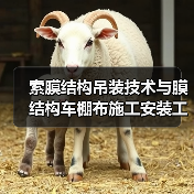 索膜结构吊装技术与膜结构车棚布施工安装工程解析（图3）