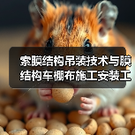索膜结构吊装技术与膜结构车棚布施工安装工程解析（图2）