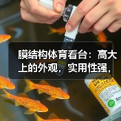 膜结构体育看台:高大上的外观,实用性强,工程周期短,稳定性好(图2) 膜结构体育看台:高大上的外观,实用性强,工程周期短,稳定性好(图2)