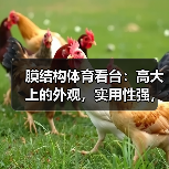 膜结构体育看台：高大上的外观，实用性强，工程周期短，稳定性好