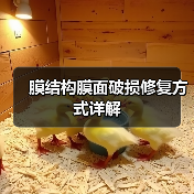 膜结构膜面破损修复方式详解(图3) 膜结构膜面破损修复方式详解(图3)