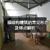 膜结构建筑的常见形态及特点解析(图1) 膜结构建筑的常见形态及特点解析(图1)