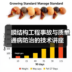 膜结构工程事故与质量通病防治的技术讲座(图4) 膜结构工程事故与质量通病防治的技术讲座(图4)