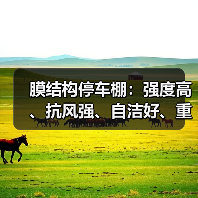 膜结构停车棚:强度高、抗风强、自洁好、重量轻,大跨度建筑的理想选择(图3) 膜结构停车棚:强度高、抗风强、自洁好、重量轻,大跨度建筑的理想选择(图3)