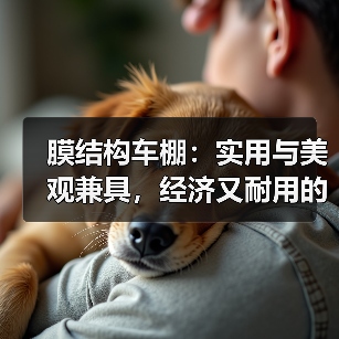 膜结构车棚：实用与美观兼具，经济又耐用的停车选择