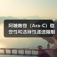 阿糖胞苷(Ara-C)稳定性和选择性递送限制的解决之道:HSPC-Lipo 仿生脂质体(图2) 阿糖胞苷(Ara-C)稳定性和选择性递送限制的解决之道:HSPC-Lipo 仿生脂质体(图2)