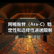 阿糖胞苷(Ara-C)稳定性和选择性递送限制的解决之道:HSPC-Lipo 仿生脂质体(图4) 阿糖胞苷(Ara-C)稳定性和选择性递送限制的解决之道:HSPC-Lipo 仿生脂质体(图4)