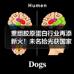 重组胶原蛋白行业再添新火！未名拾光获国家二类医疗器械证及发明专利授权（图2）