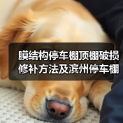 膜结构停车棚顶棚破损修补方法及滨州停车棚报价(图4) 膜结构停车棚顶棚破损修补方法及滨州停车棚报价(图4)