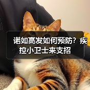 诺如高发如何预防?疾控小卫士来支招(图3) 诺如高发如何预防?疾控小卫士来支招(图3)