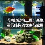 河南膜结构工程:新型建筑结构的优点与应用(图1) 河南膜结构工程:新型建筑结构的优点与应用(图1)