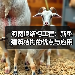 河南膜结构工程:新型建筑结构的优点与应用(图3) 河南膜结构工程:新型建筑结构的优点与应用(图3)
