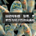 膜结构车棚:耐用、艺术性与经济性的完美结合(图3) 膜结构车棚:耐用、艺术性与经济性的完美结合(图3)