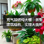 充气膜结构大棚:新型建筑结构,实现大面积敞开式作业区气体收集处理(图2) 充气膜结构大棚:新型建筑结构,实现大面积敞开式作业区气体收集处理(图2)
