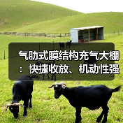 气肋式膜结构充气大棚：快捷收放、机动性强的广泛应用建筑（图3）