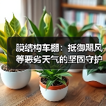 膜结构车棚:抵御飓风等恶劣天气的坚固守护者(图4) 膜结构车棚:抵御飓风等恶劣天气的坚固守护者(图4)