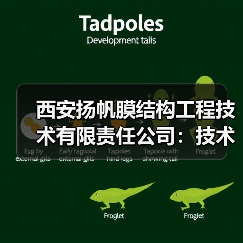 西安扬帆膜结构工程技术有限责任公司:技术领先,施工精湛,行业领航者(图4) 西安扬帆膜结构工程技术有限责任公司:技术领先,施工精湛,行业领航者(图4)