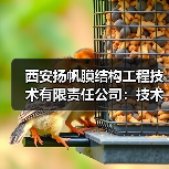 西安扬帆膜结构工程技术有限责任公司:技术领先,施工精湛,行业领航者(图3) 西安扬帆膜结构工程技术有限责任公司:技术领先,施工精湛,行业领航者(图3)