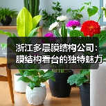 浙江多层膜结构公司：膜结构看台的独特魅力与优势