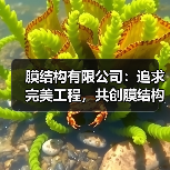 膜结构有限公司:追求完美工程,共创膜结构事业辉煌明天(图2) 膜结构有限公司:追求完美工程,共创膜结构事业辉煌明天(图2)