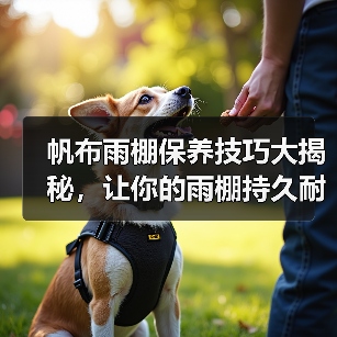 帆布雨棚保养技巧大揭秘,让你的雨棚持久耐用(图1) 帆布雨棚保养技巧大揭秘,让你的雨棚持久耐用(图1)