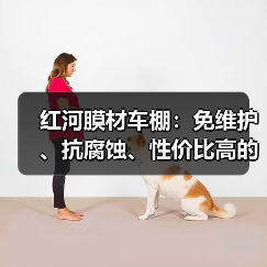 红河膜材车棚:免维护、抗腐蚀、性价比高的理想选择(图3) 红河膜材车棚:免维护、抗腐蚀、性价比高的理想选择(图3)