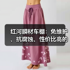 红河膜材车棚:免维护、抗腐蚀、性价比高的理想选择(图2) 红河膜材车棚:免维护、抗腐蚀、性价比高的理想选择(图2)