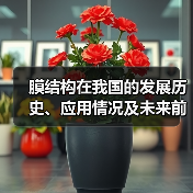 膜结构在我国的发展历史、应用情况及未来前景分析