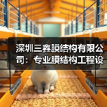 深圳三鑫膜结构有限公司:专业膜结构工程设计与施工,资质齐全,实力雄厚(图4) 深圳三鑫膜结构有限公司:专业膜结构工程设计与施工,资质齐全,实力雄厚(图4)