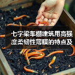 七字梁车棚建筑用高强度柔韧性薄膜的特点及应用(图1) 七字梁车棚建筑用高强度柔韧性薄膜的特点及应用(图1)