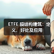 ETFE 膜结构建筑:定义、好处及应用(图4) ETFE 膜结构建筑:定义、好处及应用(图4)