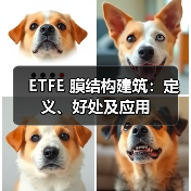 ETFE 膜结构建筑:定义、好处及应用(图2) ETFE 膜结构建筑:定义、好处及应用(图2)