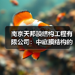 南京天邦膜结构工程有限公司:中庭膜结构的创新与应用(图1) 南京天邦膜结构工程有限公司:中庭膜结构的创新与应用(图1)
