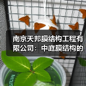 南京天邦膜结构工程有限公司:中庭膜结构的创新与应用(图4) 南京天邦膜结构工程有限公司:中庭膜结构的创新与应用(图4)