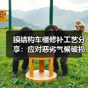 膜结构车棚修补工艺分享：应对恶劣气候破损的有效方法