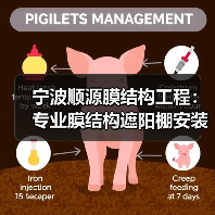 宁波顺源膜结构工程:专业膜结构遮阳棚安装,全国承接工程(图3) 宁波顺源膜结构工程:专业膜结构遮阳棚安装,全国承接工程(图3)
