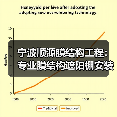 宁波顺源膜结构工程:专业膜结构遮阳棚安装,全国承接工程(图1) 宁波顺源膜结构工程:专业膜结构遮阳棚安装,全国承接工程(图1)