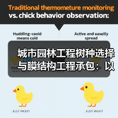 城市园林工程树种选择与膜结构工程承包：以人为本，可靠服务（图2）
