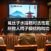 菟丝子水提物对活性氧所致人精子膜结构和功能氧化损伤的干预作用研究(图4) 菟丝子水提物对活性氧所致人精子膜结构和功能氧化损伤的干预作用研究(图4)