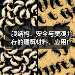 膜结构:安全与美观并存的建筑材料,应用广泛(图1) 膜结构:安全与美观并存的建筑材料,应用广泛(图1)