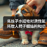 菟丝子水提物对活性氧所致人精子膜结构和功能氧化损伤的干预作用研究(图3) 菟丝子水提物对活性氧所致人精子膜结构和功能氧化损伤的干预作用研究(图3)