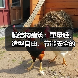 膜结构建筑:重量轻、造型自由、节能安全的新型建筑形式(图3) 膜结构建筑:重量轻、造型自由、节能安全的新型建筑形式(图3)