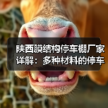陕西膜结构停车棚厂家详解:多种材料的停车棚优势及应用(图3) 陕西膜结构停车棚厂家详解:多种材料的停车棚优势及应用(图3)