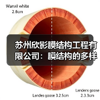 苏州欣影膜结构工程有限公司：膜结构的多样应用与独特优势（图3）