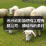 苏州欣影膜结构工程有限公司：膜结构的多样应用与独特优势（图2）